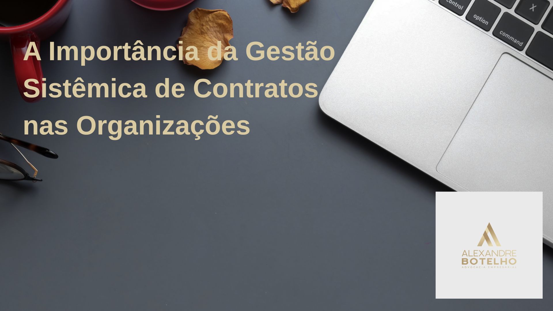 A Importância da Gestão Sistêmica de Contratos nas Organizações
